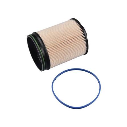 Fuel Filter Raptor
